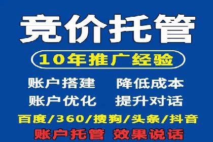 SEM推广案例：电商流量提升策略